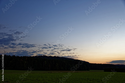 evening sunset over the field and forest