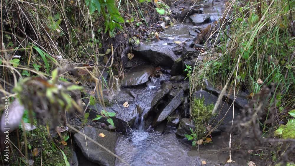 Small stream flowing over rocks at the bottom of a ravine in a dense forest Small stream flowing over rocks at the bottom of a ravine in a dense forest