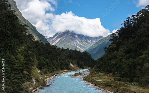 Himalayan  © sebastian