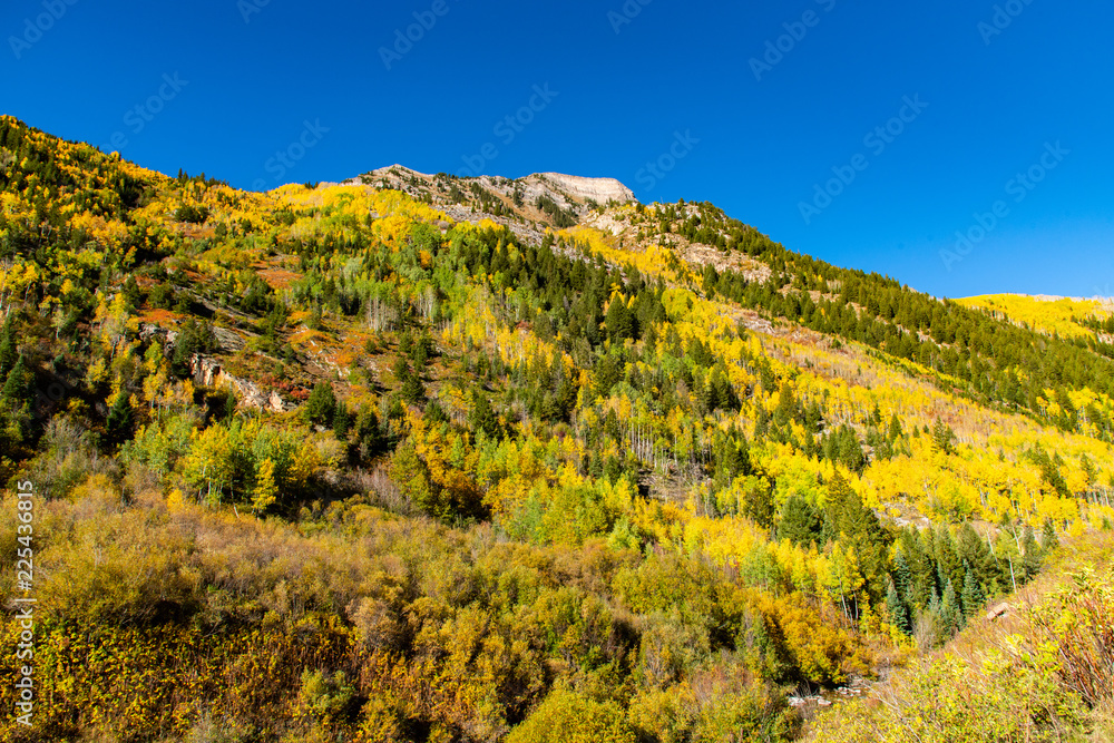 Fall Foliage in the Colorado Rocky Mountains