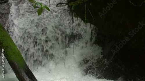 Waterfall pouring over a rock face in a clear mountain stream running through pristine montane rainforest in Carchi province, western Ecuador photo
