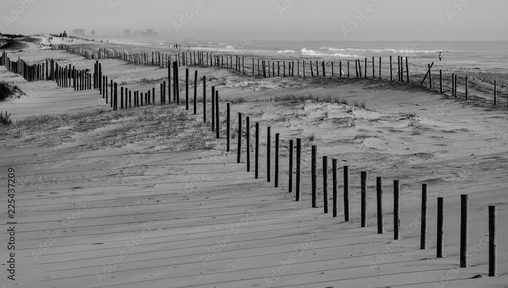 Black and white beach scene landscape