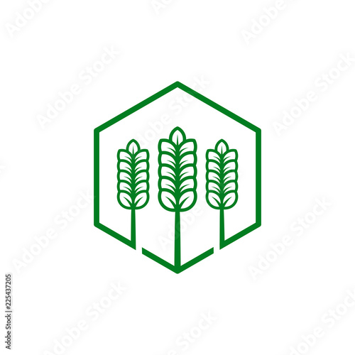 agryculture wheat logo template vector illustration photo