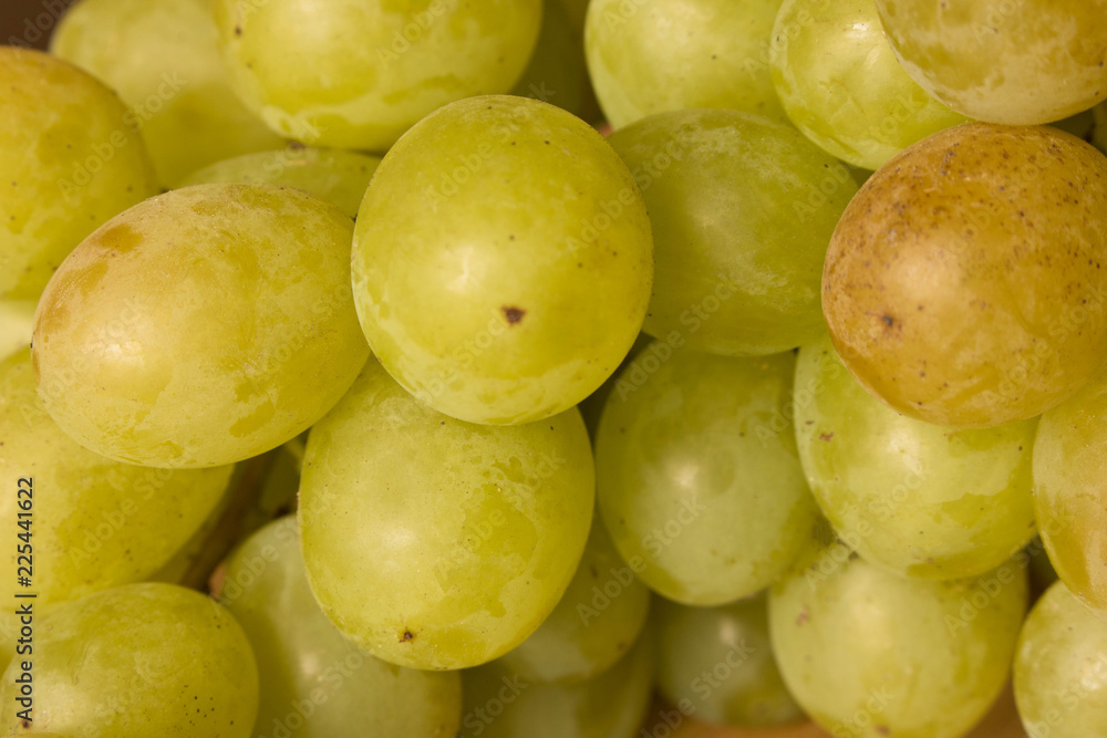 Freshly picked grapes on a wooden table. Close up. The concept of harvest Freshly picked grapes on a wooden table. Close up. The concept of harvest