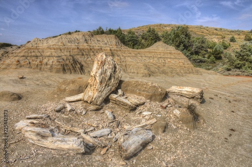 Theodore Roosevelt National Park is in Western North Dakota photo