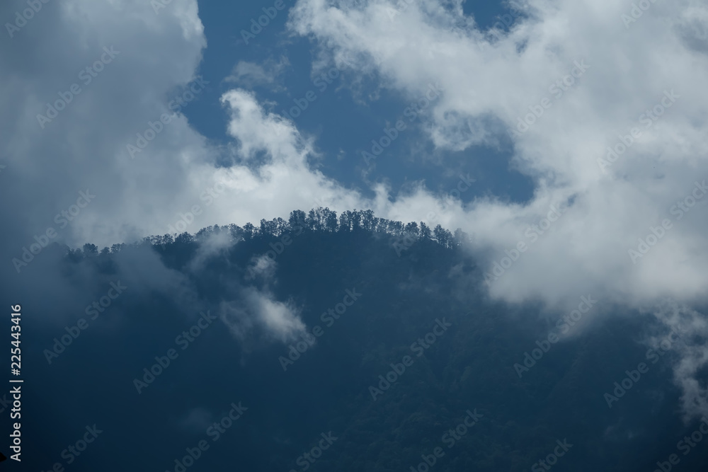 A silhouette of a mountain peak with forest in clouds A silhouette of a mountain peak with forest in clouds