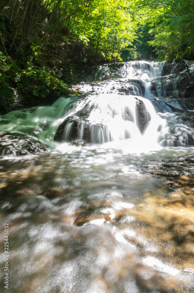 Fototapeta premium 軽井沢滝巡り