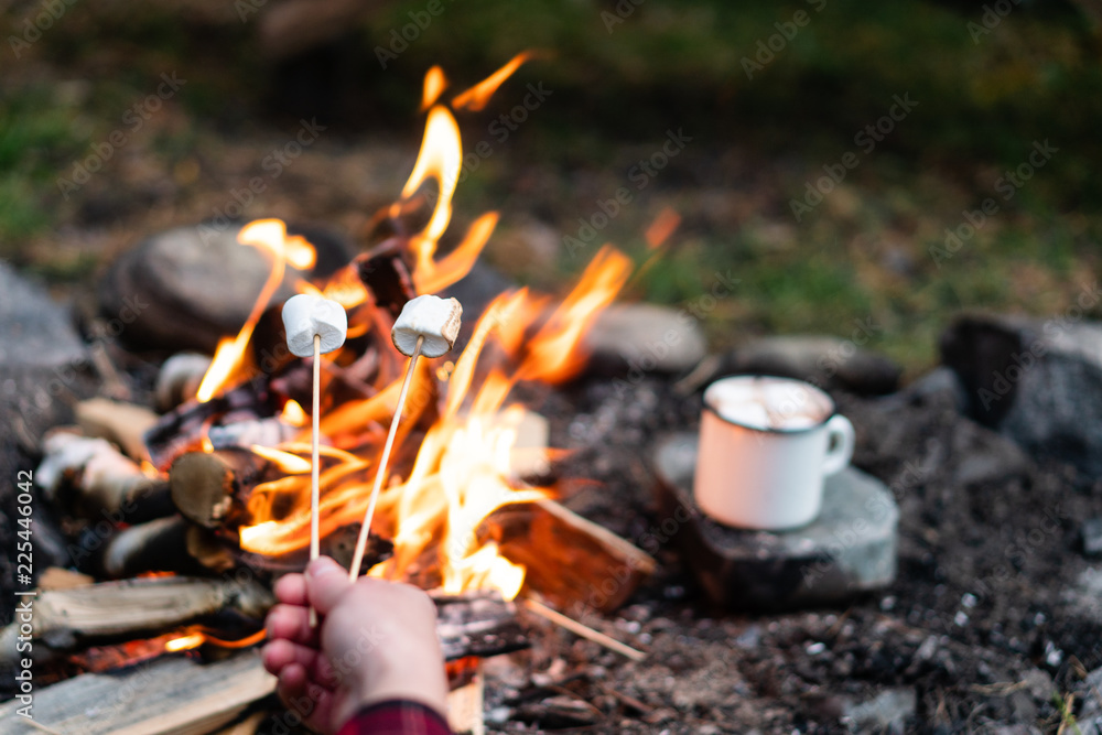 Roasting marshmallows over a bonfire in the forest. Stock Photo | Adobe ...