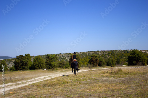 Rider on a horse. Horse in the open field with a rider. Home horse riding. Driving the horse reins. 