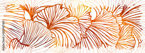 Vector colorful ginkgo leaves autumn background