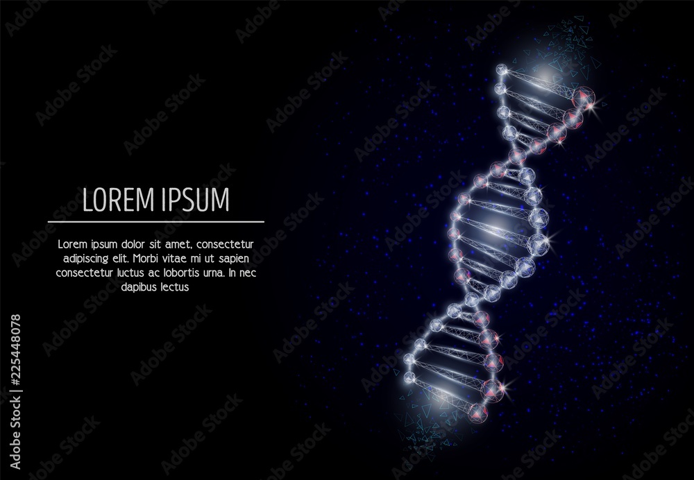 DNA vector geometric polygonal art style design DNA vector geometric polygonal art style design
