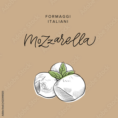 traditional Italian baby mozzarella cheese vintage engraving illustration with its name calligraphy on craft paper background