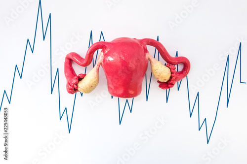 Obraz na plátně Shape of uterus or womb with ovaries is background with schedule or graph with peak values