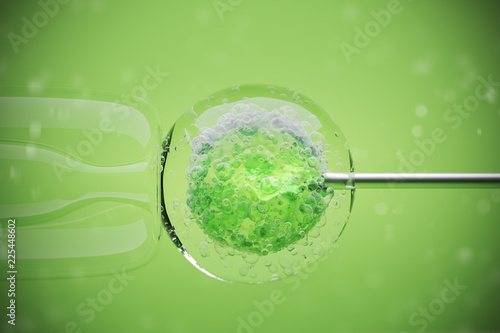 In vitro fertilization of a human female cell on a green background. Microscopic view. IVF. Close up. 3d rendering photo