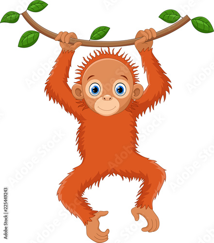 Cute orangutan cartoon hanging on tree branch
