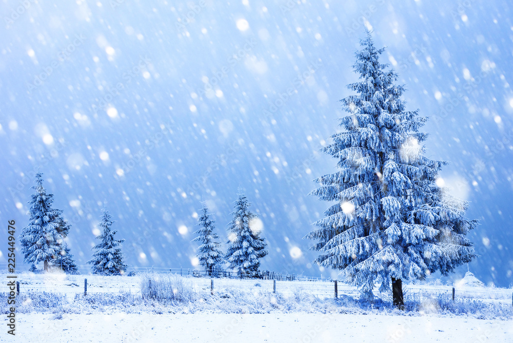 Obraz premium Snowfall in the winter mountains
