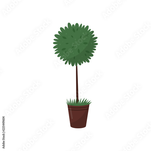 Tall green plant in brown pot. Houseplant in ceramic flowerpot. Flat vector for home decor or flower shop
