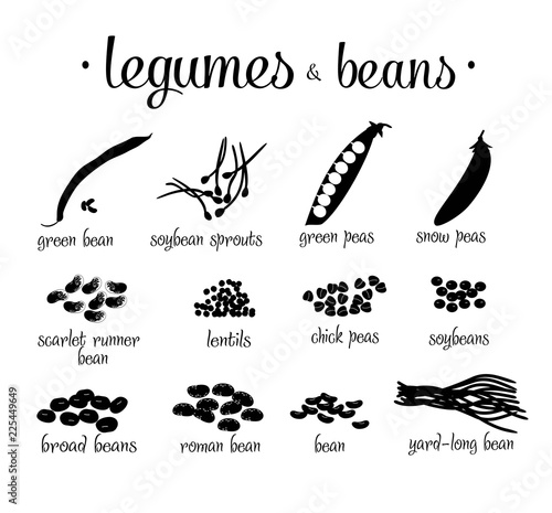 Black and white legumes beans vector set