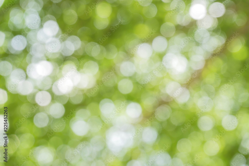 green bokeh / bokeh from tree / Blurred nature background / green and white background from tree in sun light. green bokeh / bokeh from tree / Blurred nature background / green and white background from tree in sun light.