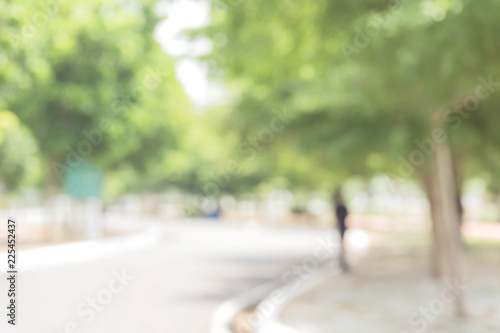 green bokeh / bokeh from tree / Blurred nature background / green and white background from tree in sun light.