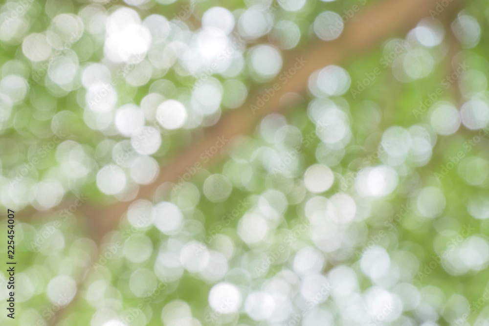 Blurred park with bokeh background / Blurred nature background / green and white background from tree in sun light. Blurred park with bokeh background / Blurred nature background / green and white background from tree in sun light.