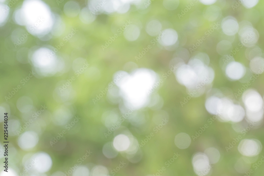 Obraz premium Blurred park with bokeh background / Blurred nature background / green and white background from tree in sun light.