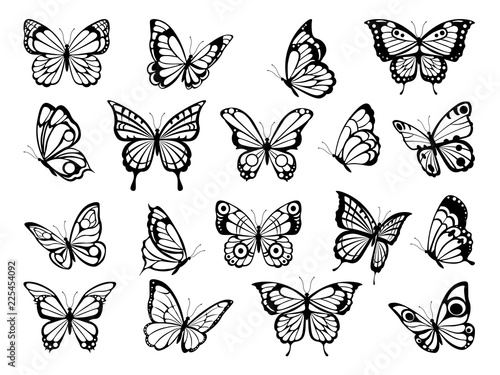 Silhouettes of butterflies. Black pictures of funny butterflies. Insect butterfly black silhouette, winged gorgeous animal, vector illustration photo