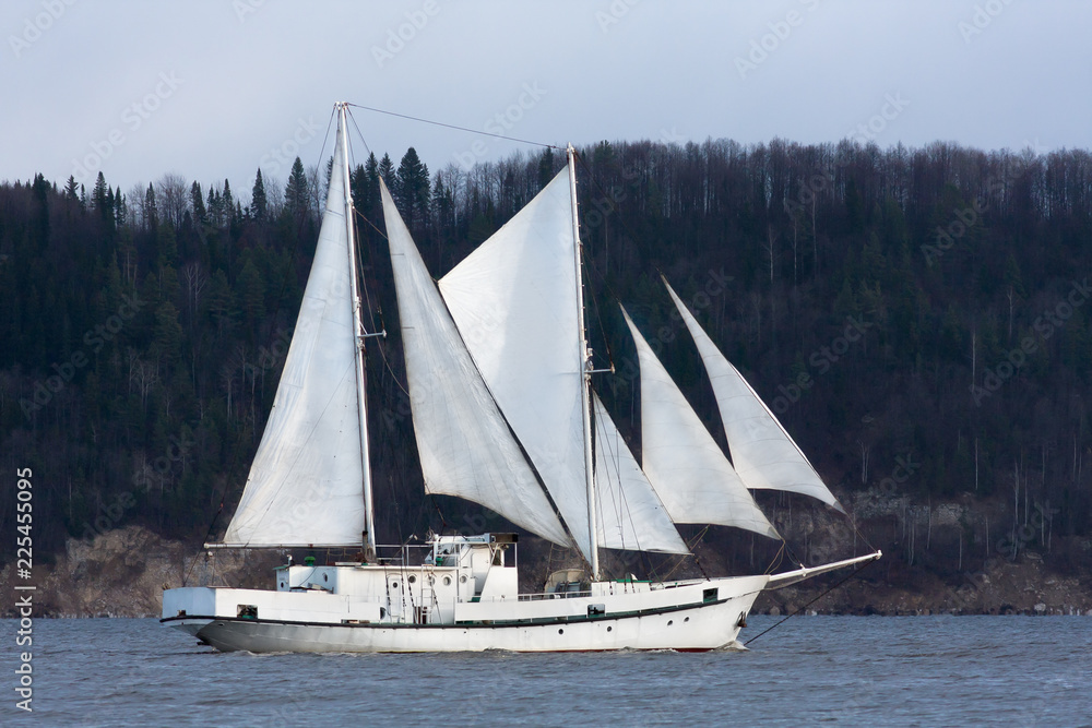 Fototapeta premium schooner goes past the forest shore