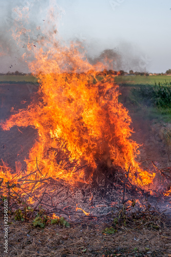 Farmer burns green wastes in bonfire, agriculture and bonfire concept