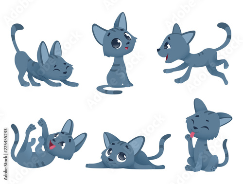Little kittens. Cats domestic cute and funny little baby animals playing smiling vector characters isolated. Kitten character domestic, happy animal kitty illustration