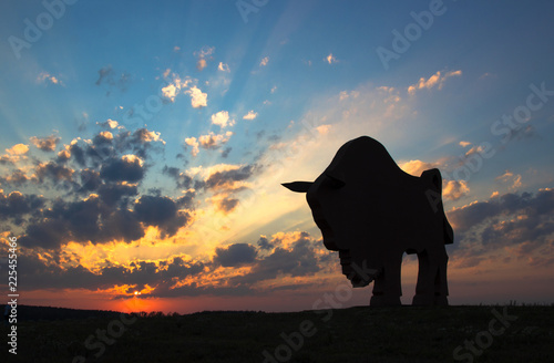 sunset dawn sun rays over the city sky field statue bison sculpture silhouette