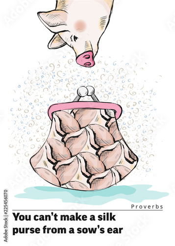 Series of postcards with a piglet. Proverbs and sayings. You can t make a silk purse from a sow s ear. Purse of the texture of the pig s ears. Cute funny piggy. Hand-drawn. Cartoon. Watercolor style