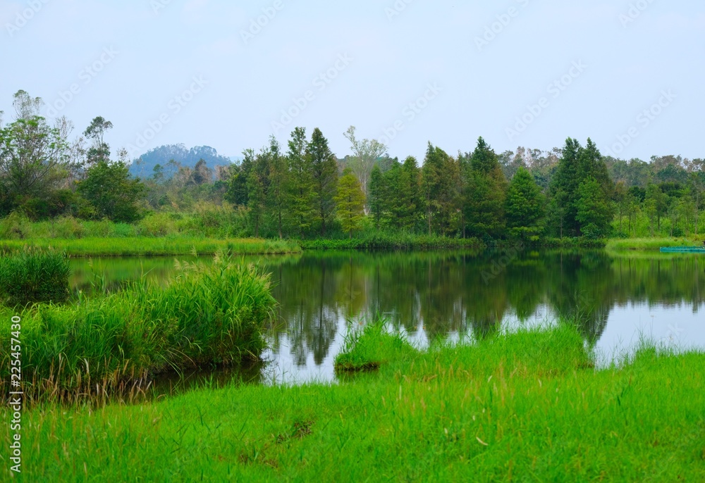Beautiful nature lake landscape view with reflection of fresh green tree in Hong Kong Beautiful nature lake landscape view with reflection of fresh green tree in Hong Kong