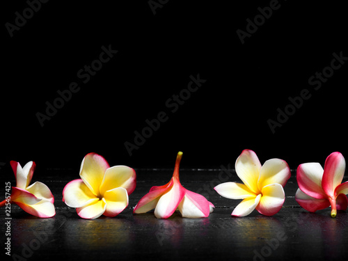 Fototapeta Naklejka Na Ścianę i Meble -  frangipani flowers isolated black background on wooden table