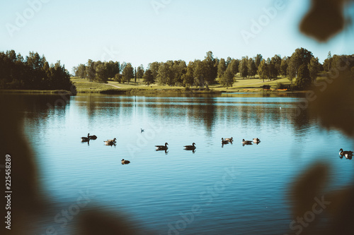Photography The Bogstadvannet lake in Oslo
