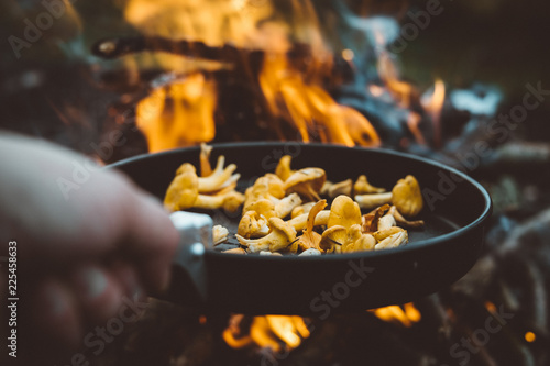 Frying chantarelle in the forest