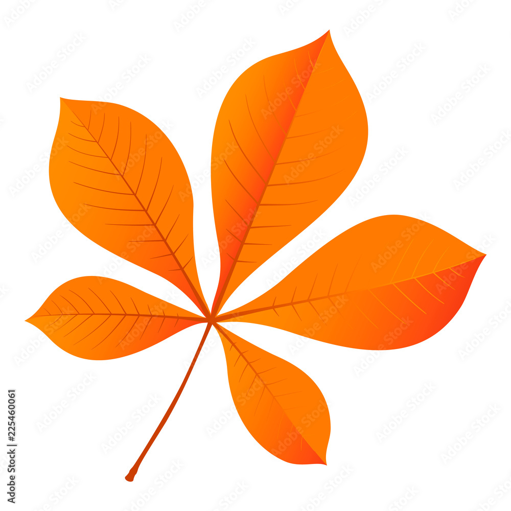 Fototapeta premium Chestnut leaf icon. Flat illustration of chestnut leaf vector icon for web design