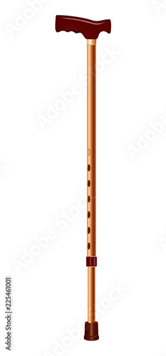 Steel walk stick icon. Realistic illustration of steel walk stick vector icon for web design isolated on white background