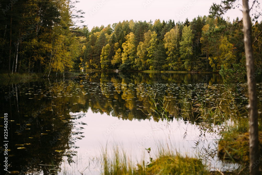 Autumn landscape in National park Nuuksio (Finland, Helsinki)