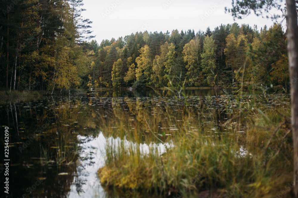 Autumn landscape in National park Nuuksio (Finland, Helsinki)