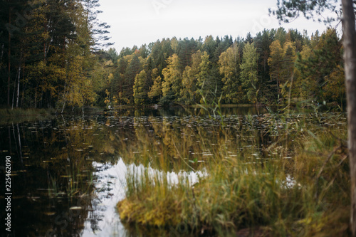 Autumn landscape in National park Nuuksio  Finland  Helsinki 