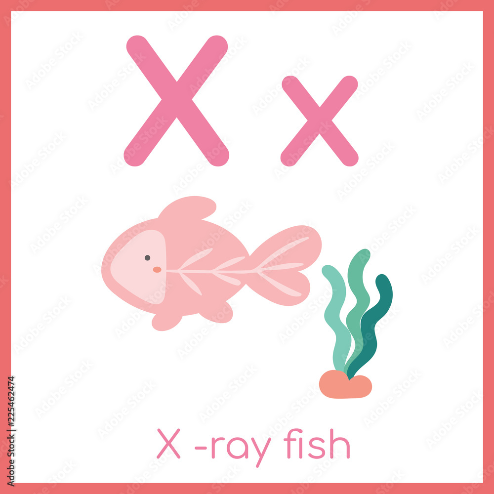 Cute animal alphabet. X letter. Cute X-ray fish. Stock Vector | Adobe Stock