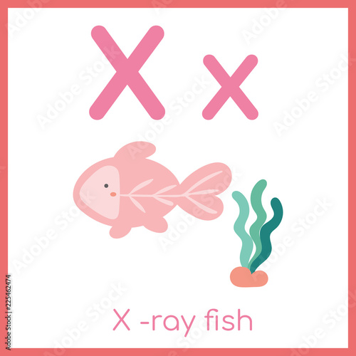 Cute animal alphabet. X letter. Cute X-ray fish.