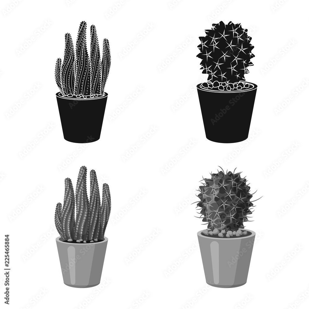 Fototapeta Vector design of cactus and pot symbol. Collection of cactus and cacti stock symbol for web.