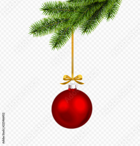 Vector red christmas decoration, gold ribbon with pine branch isolated on transparent background.