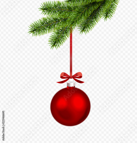 Vector Christmas decoration with pine branch isolated on transparent background.