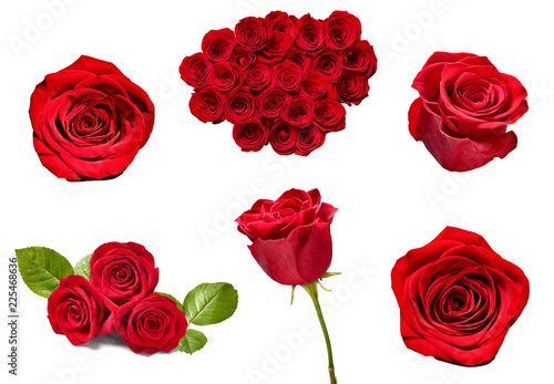 flower rose petal blosspm background