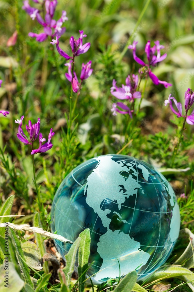 Glass Globe in the Grass