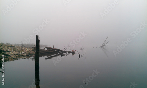 misty creepy dark natural pond tree