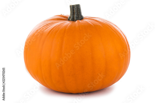 One orange pumpkin